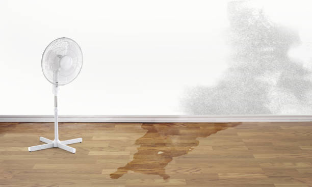 Best Local water damage restoration  in Sylvan Lake, MI