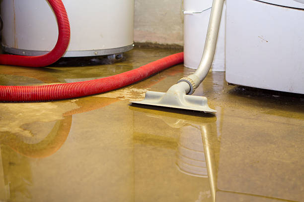 Best Ceiling water damage repair  in Sylvan Lake, MI