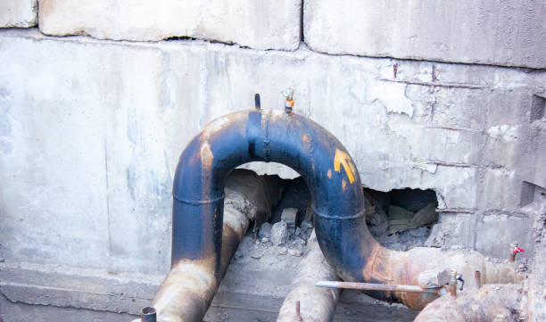 Best Mold removal after water damage  in Sylvan Lake, MI